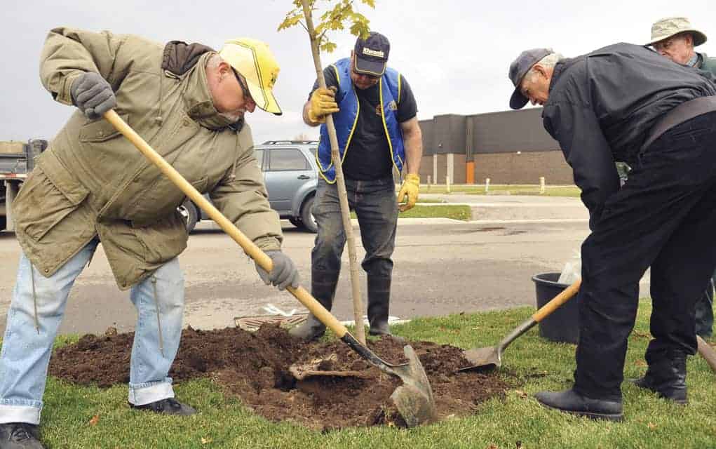Homegrown saplings help Trees for Woolwich with township-wide greening effort