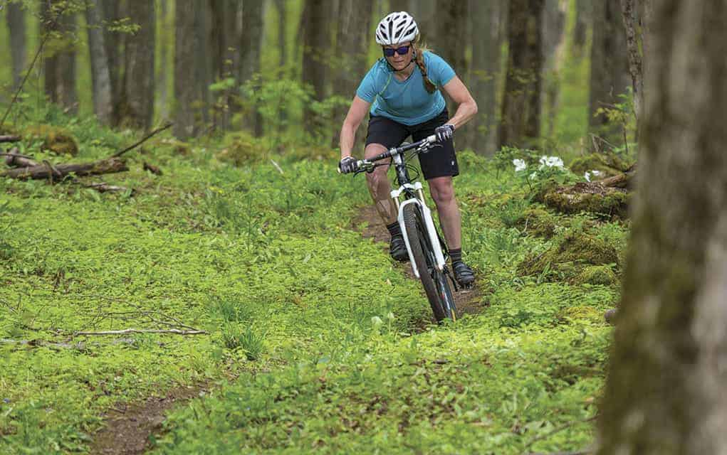 Wellesley councillors hear of plan for mountain bike trail connecting township