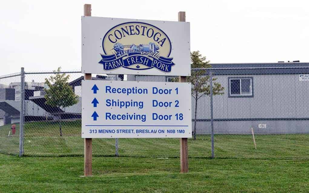 Conestoga Meats halts hog processing for a week due to COVID-19