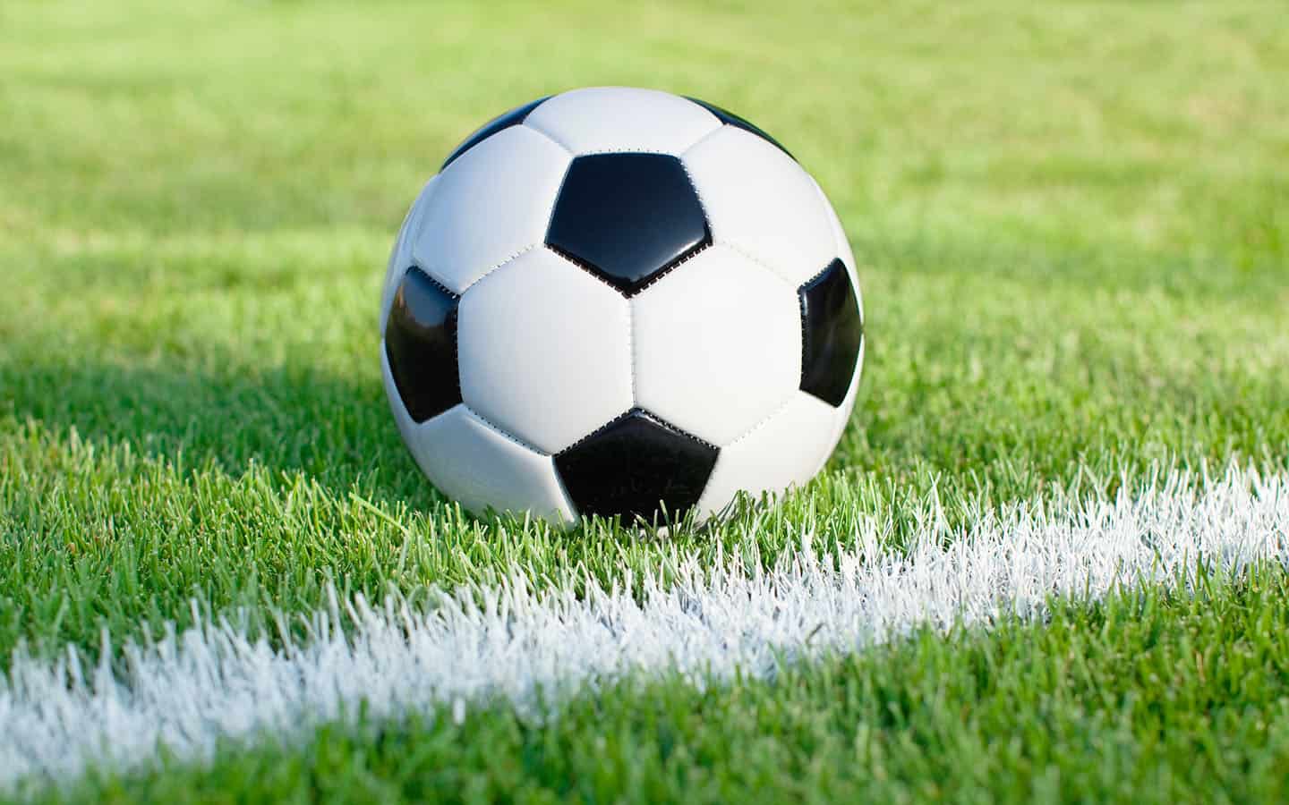 EDSS soccer teams advance to WCSSAA playoffs