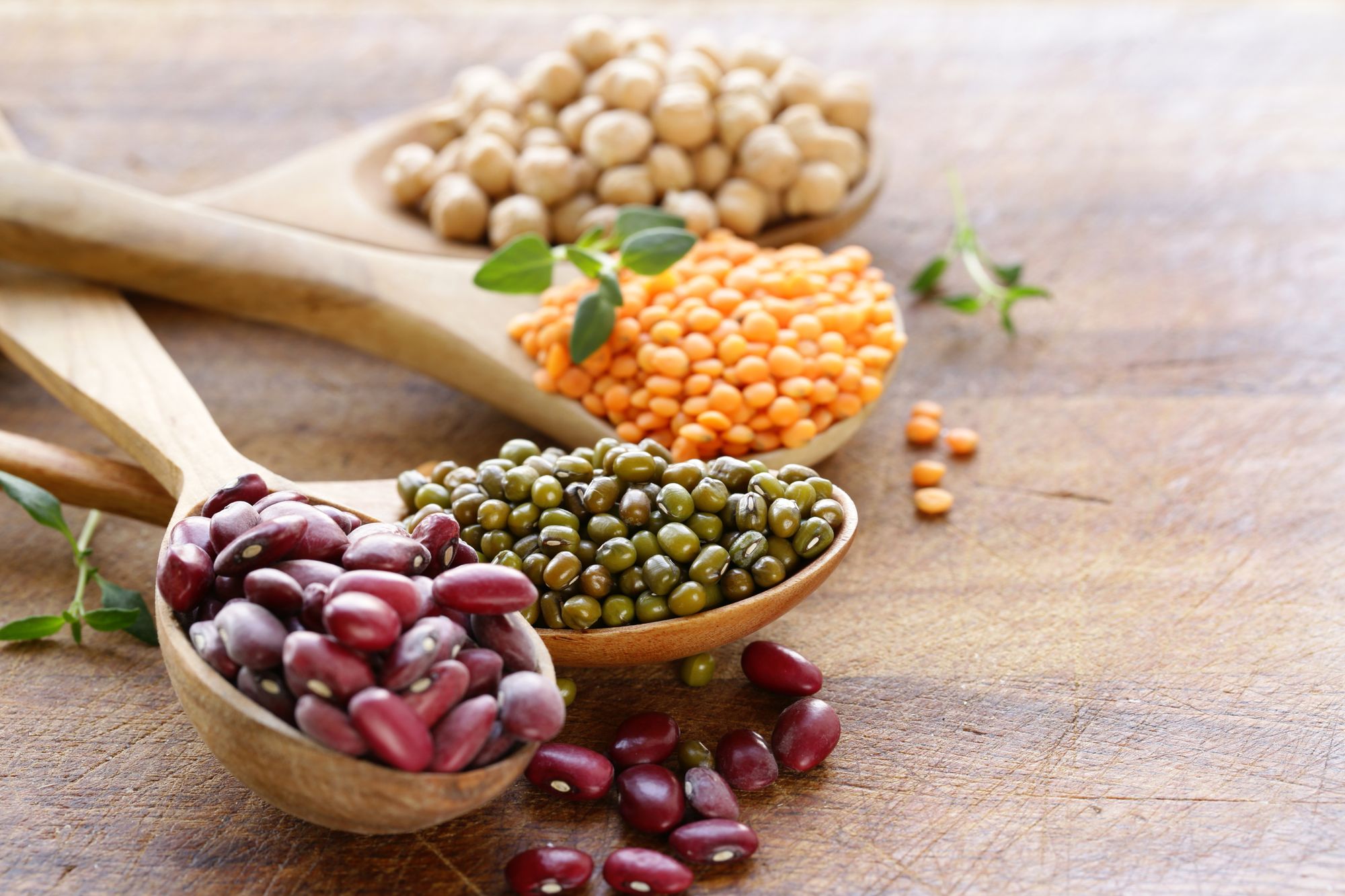 Is a lectin-free diet beneficial?