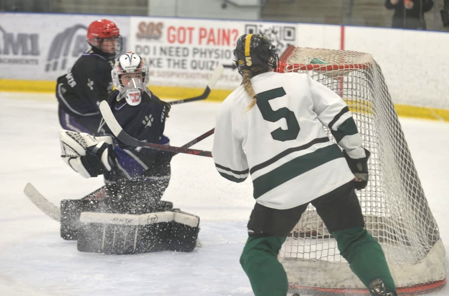EDSS hockey teams had another strong year leading up to regionals