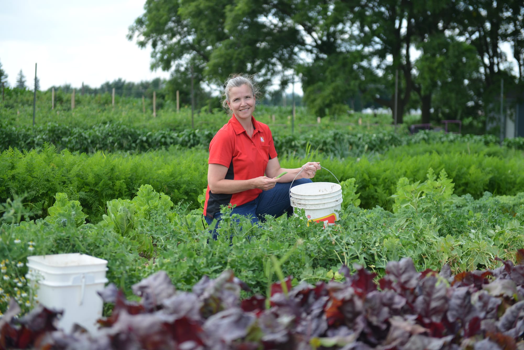                      Community gardens help provide WCS with fresh produce                             
                     