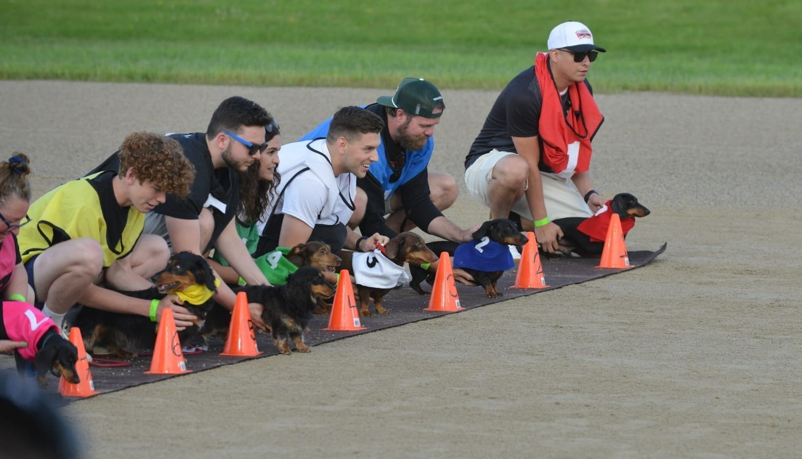                               Wiener dogs a hit as they take to the track                             
                              