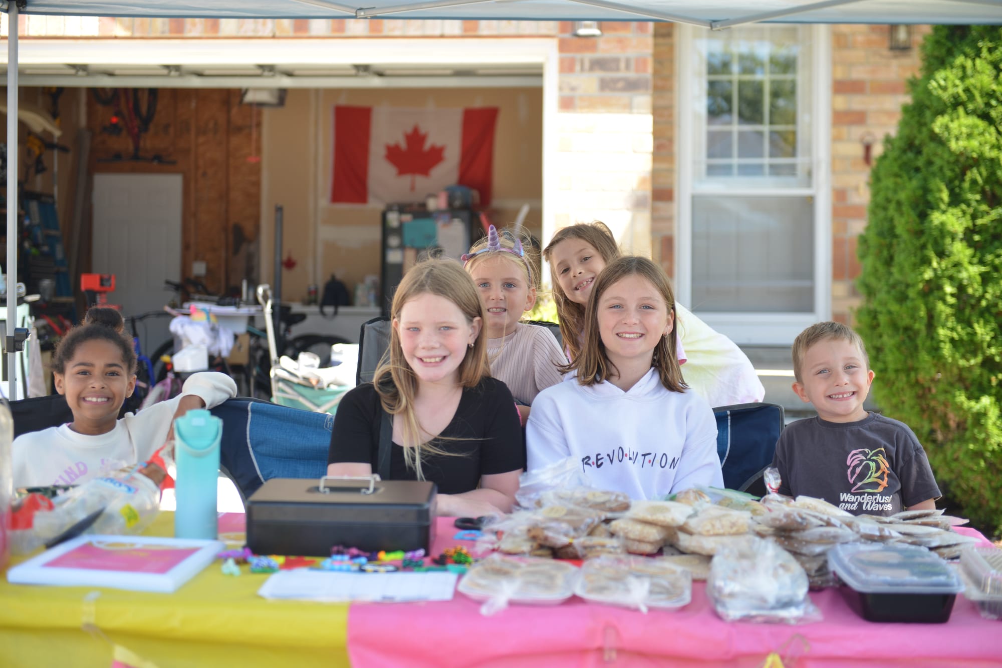 Elmira kids run lemonade stand to raise funds for the Kidney Foundation