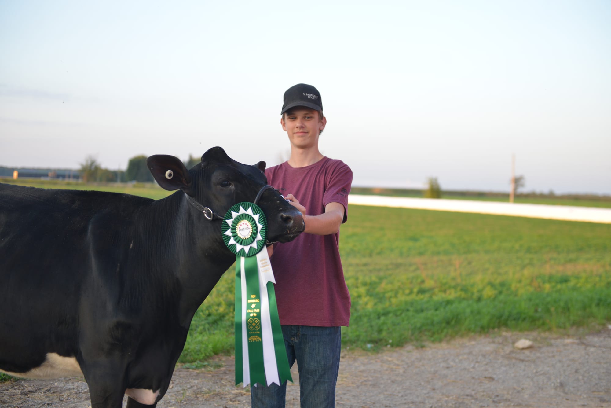 Colton Martin’s 4-H work with calf pays off in “Martin sweep” at Cambridge fair