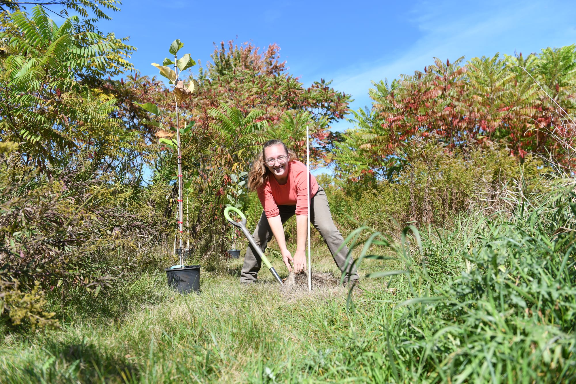                      Trees for Woolwich’s latest effort involves reintroducing rare species in the township                             
                     