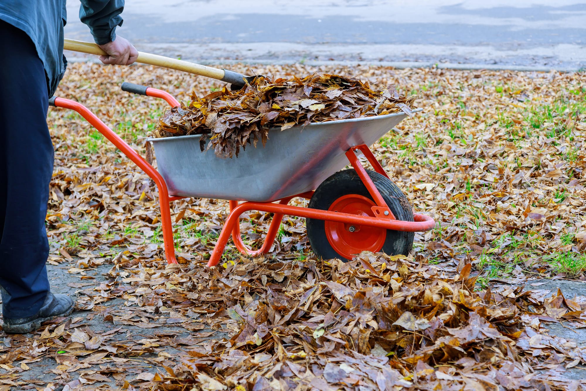                      When it comes to readying your lawn for winter, fuss a lot or a little                             
                     