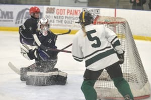 EDSS hockey teams had another strong year leading up to regionals
