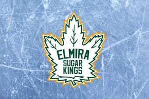 Kings settle for split in pair of games at GOJHL showcase series