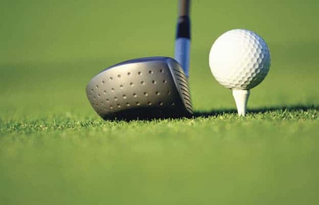 WCS golf tourney is largest fundraiser for family violence prevention program