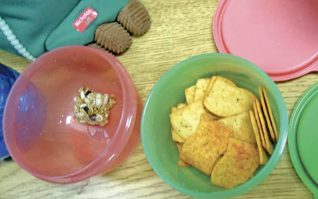 St. Clement students challenged to find waste-free lunches