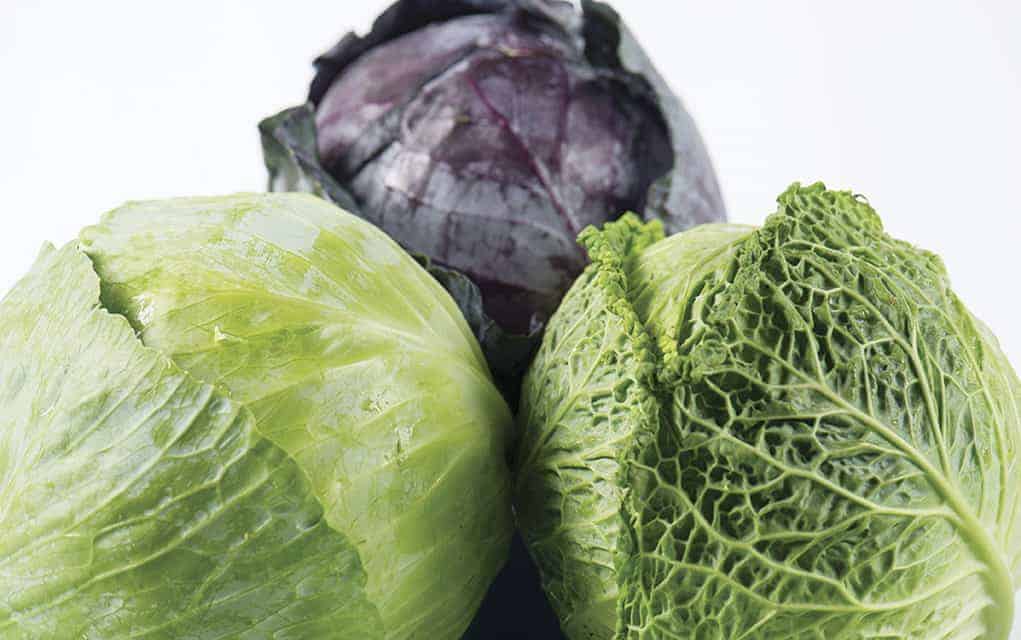 Cabbage is a versatile ingredient
