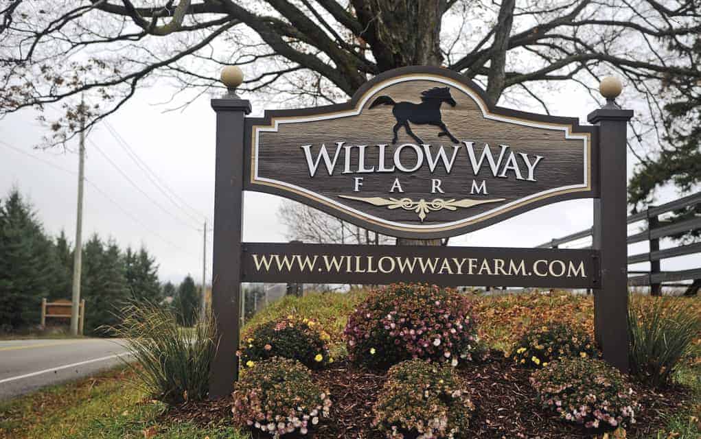 
                     Willow Way Farm
                     