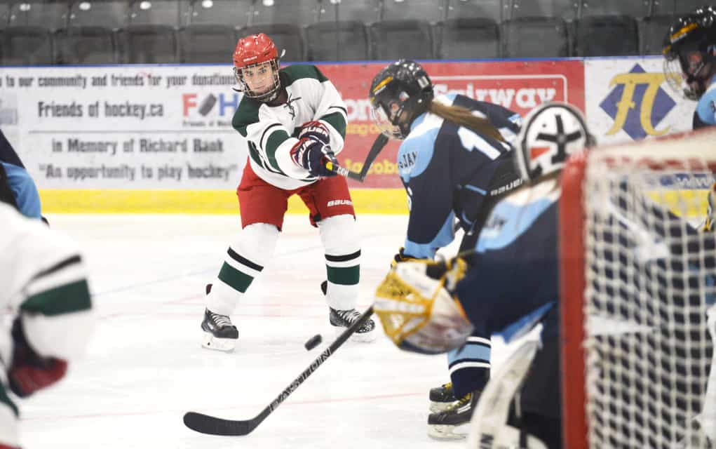 Plans are being made, but local hockey remains on hold for now