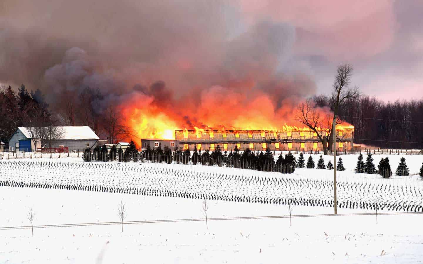 Chicken barn destroyed by fire Thursday morning