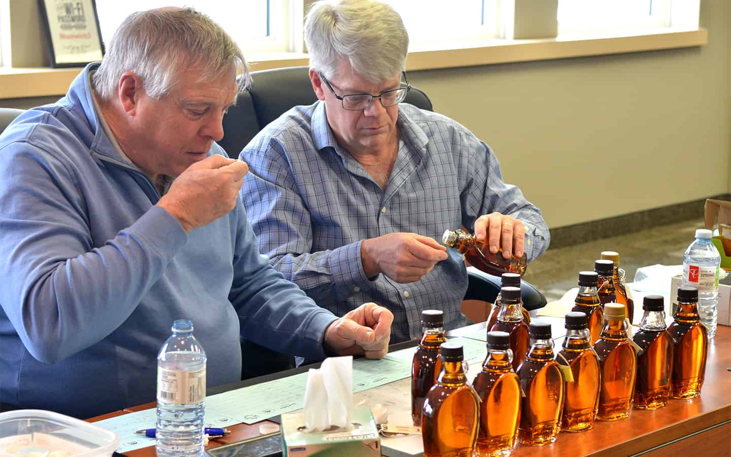 Judgment day for seven local maple syrup operators