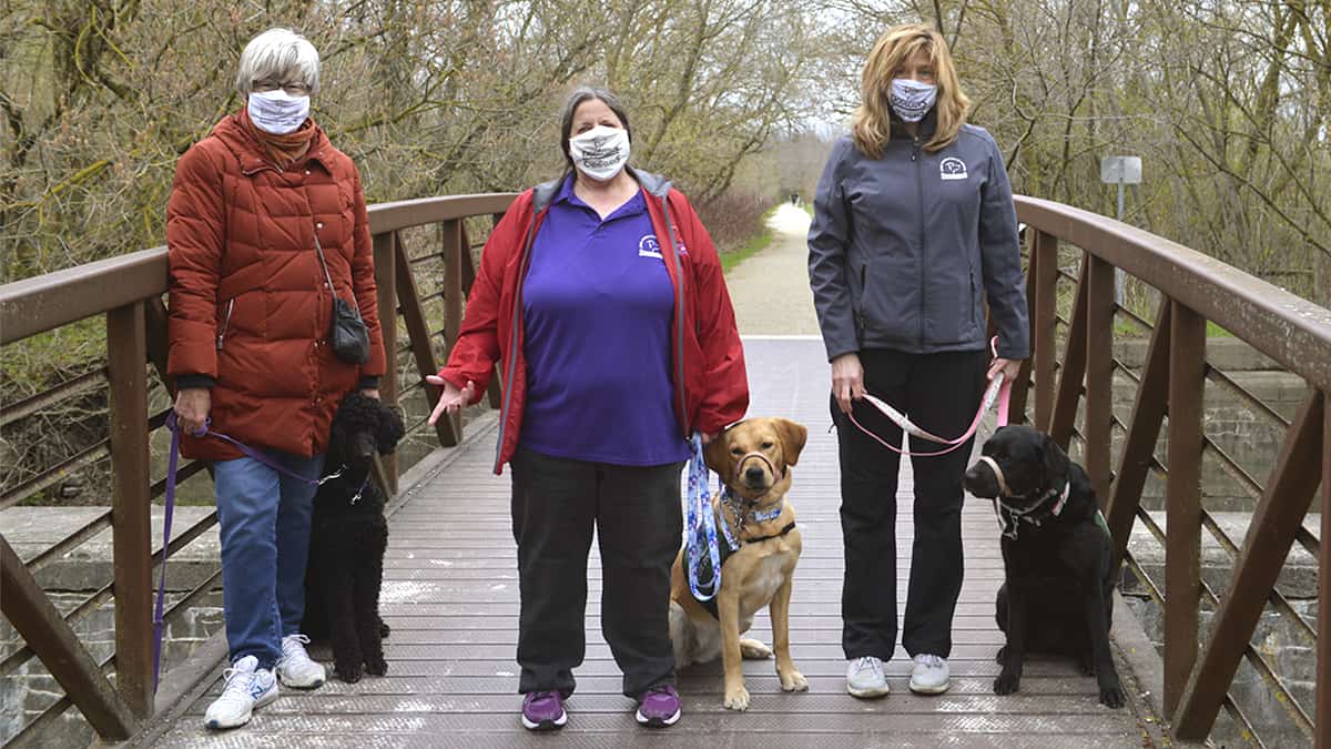 Walk for dog guides goes virtual again